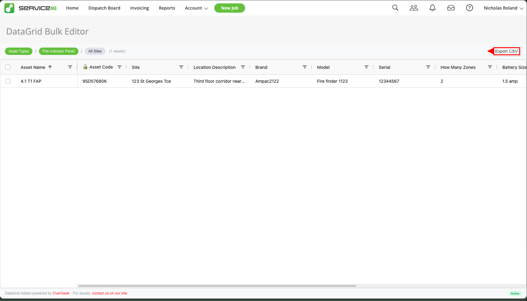 DataGrid spreadsheet view showing asset data in rows and columns